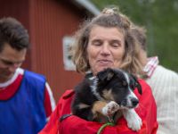 MG 8379 : Dalsland, Stora matchen, Sverige